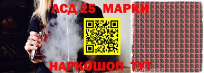 гидропоника Гагарин