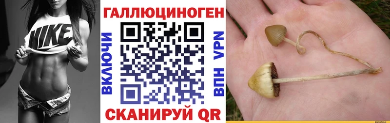 Галлюциногенные грибы прущие грибы Тольятти