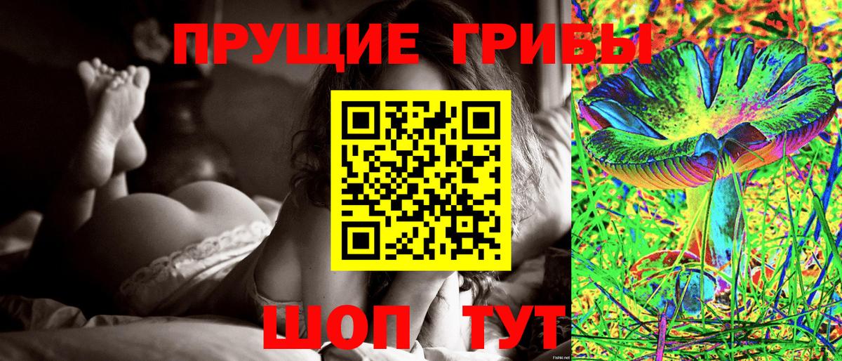 Псилоцибиновые грибы Psilocybine cubensis Тольятти
