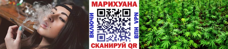 Бошки Шишки планчик Тольятти